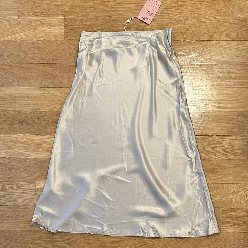 Quince Washable Silk Champagne Midi Skirt - XS - With Tags - Picture 6 of 6
